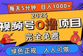 （16388期）2025视频号0撸项目，5分钟一个号，日入1000 ，人人可做
