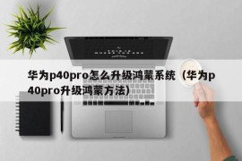 华为p40pro怎么升级鸿蒙系统（华为p40pro升级鸿蒙方法）