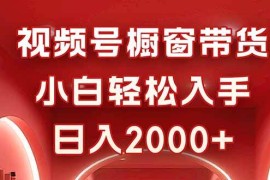 （16248期）视频号橱窗带货，小白轻松入手，日入2000 