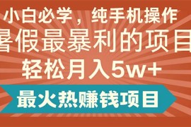 （11583期）小白必学，纯手机操作，暑假最暴利的项目轻松月入5w 最火热赚钱项目