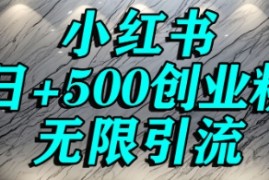 小红书无限引流创业粉，单人操作日引500 精准创业粉