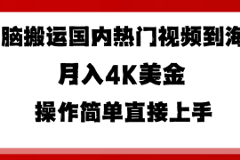 无脑搬运国内热门视频到海外，月入4K美金，操作简单直接上手