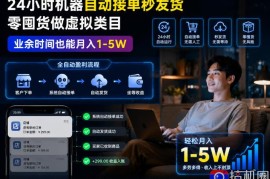 24小时机器自动接单秒发货，零囤货做虚拟类目，业余时间也能月入1-5W【揭秘】