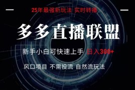 多多直播联盟 全新玩法 单机单日变现300 不要求电脑配置 玩法简单暴力