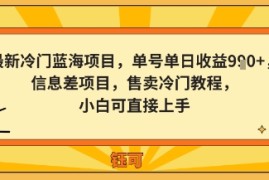 最新冷门蓝海项目，单号单日收益多张，信息差项目，售卖冷门教程，小白可直接上手