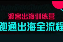 马克渡客出海成长加速训练营(更新)