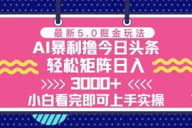 （13398期）今日头条最新5.0掘金玩法，轻松矩阵日入3000 