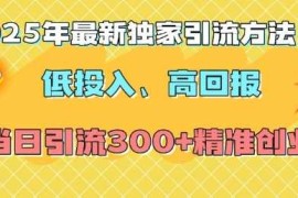 2025年最新独家引流方法，低投入高回报？当日引流300 精准创业粉