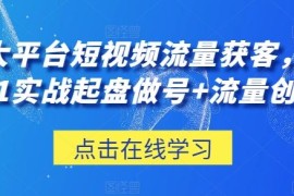 三大平台短视频流量获客，从0-1实战起盘做号 流量创收