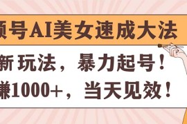 （11330期）视频号AI美女速成大法，暴力起号，日赚1000 ，当天见效