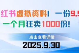 小红书虚拟资料，一份9.9，一个月狂卖1000份，门槛低见效果快