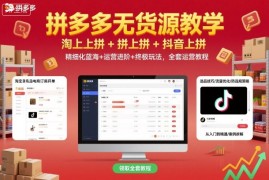 拼多多无货源教学，淘上拼 拼上拼 抖上拼，精细化蓝海 运营进阶 终极玩法，全套运营教程