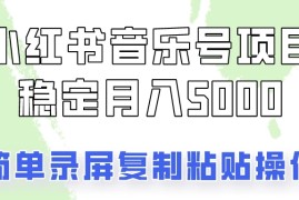 小红书音乐号，通过简单的复制粘贴操作，实现每月5000元以上的稳定收入