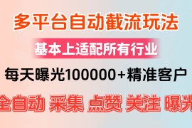 （12709期）小红书抖音视频号最新截流获客系统，全自动引流精准客户【日曝光10000 …