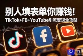 别人填表单你赚钱！TikTok FB YouTube 引流变现全攻略【原创双语字幕】
