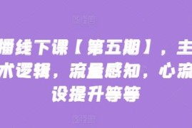 主播线下课【第五期】，主播话术逻辑，流量感知，心流建设提升等等