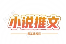 小说推文全流程课程-小说推文零基础教程