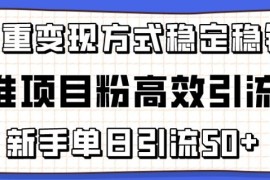 精准项目粉高效引流术，新手单日引流50 ，多重变现方式稳定赚钱【揭秘】