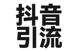 2025年抖音最新暴力引流法，只需一个视频加一段文字，简单操作，单日引300 创业粉