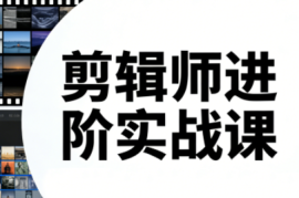 剪辑师进阶实战课(更新23年-25年)