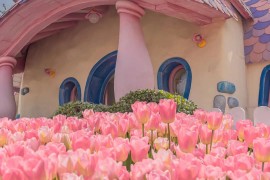 迪士尼手机(迪士尼手机壁纸)