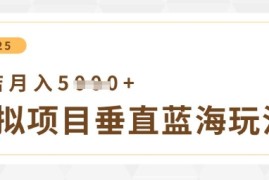 虚拟项目垂直玩法，实现单店月入5k 