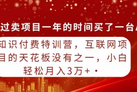 （9819期）知识付费特训营，互联网项目的天花板，没有之一，小白轻轻松松月入三万 