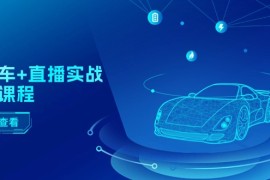 （11166期）二手车 直播实战运营课程：直播推荐/短视频推荐/千川投放/直播全流程