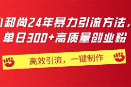 （11247期）AI小和尚24年暴力引流方法，单日300 高质量创业粉，高效引流，一键制作