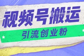 视频号搬运去重，单日引流200 创业粉，日入1000 