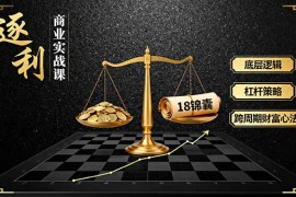 《逐 利》商业实战课，底层逻辑、杠杆策略、18锦囊，跨周期财富心法(更新