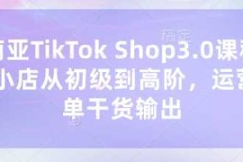 东南亚TikTok Shop3.0课程，TK小店从初级到高阶，运营出单干货输出