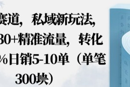 蓝海赛道，私域新玩法，日引30 精准流量，转化率50%日销5-10单（单笔3张）
