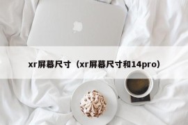 xr屏幕尺寸（xr屏幕尺寸和14pro）