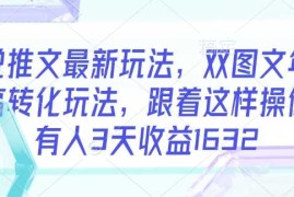 小说推文最新玩法，双图文年轻粉高转化玩法，跟着这样操做，有人3天收益1632