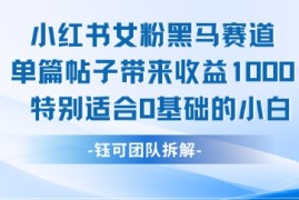 小红书女粉黑马赛道单篇帖子带来收益1k ，特别适合0基础的小白