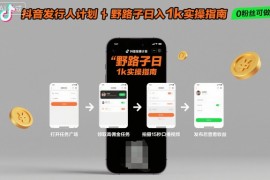 抖音发行人计划全新野路子玩法，随时随地，只要有手机，就能操作，日入1k 【揭秘】