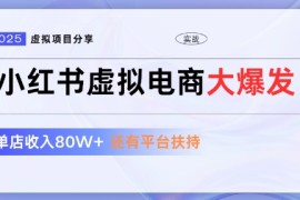 小红书虚拟店铺 蓝海项目 小白轻松一天3张 