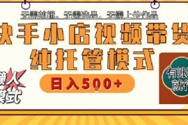 快手小店托管代运营，无需剪辑，无需选品，无需上传作品，全程无需操作，轻松月入5k 【揭秘】