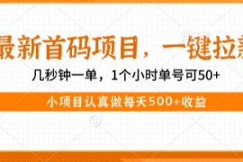 最新首码项目，操作最简单，收益高，一键拉新，1个小时单号可50 ，小项目认真做每天5张 收益【揭秘】