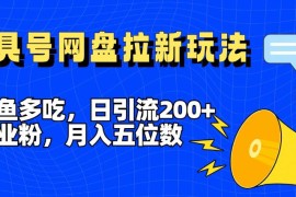 一鱼多吃，日引流200 创业粉，全平台工具号，网盘拉新新玩法月入5位数