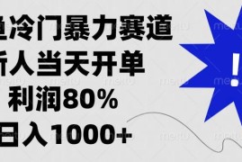（13660期）闲鱼冷门暴力赛道，新人当天开单，利润80%，日入1000 