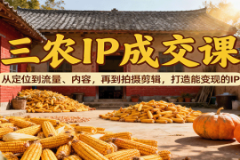 三农IP成交课：从定位到流量、内容，再到拍摄剪辑，打造能变现的IP