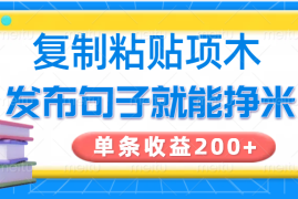 复制粘贴小项目，发布句子就能赚米，单条收益200 