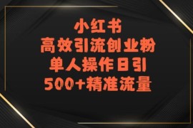 小红书高效引流创业粉，单人操作日引500 精准流量
