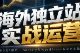 海外独立站实战运营