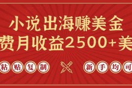 小说出海赚美金，稿费月收益2500 美金，仅需chatgpt粘贴复制，新手也能玩转
