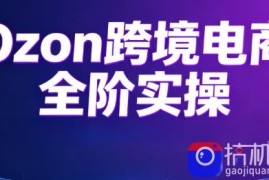 Ozon跨境电商全阶实操课程