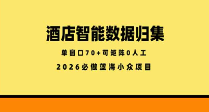 酒店智能数据归集，小众蓝海已经稳定半年之久，单窗口70+零成本矩阵开干