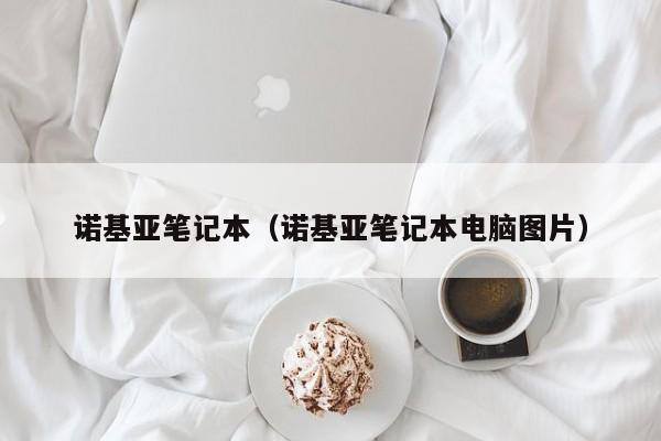 诺基亚笔记本（诺基亚笔记本电脑图片）